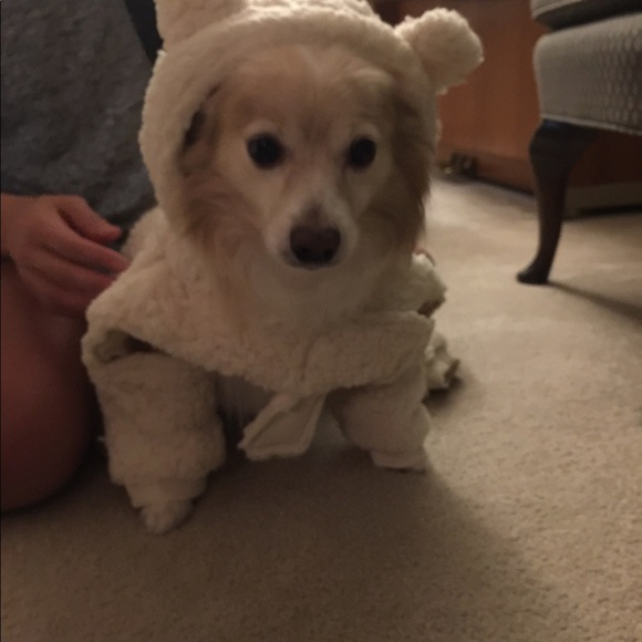 Meet your Posher, Erin 💕💕💕 - Picture 4 of 5